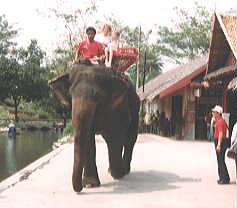 q悹ĕ
