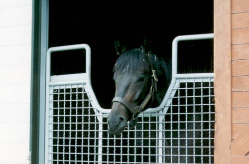 �A�C�l�X�t�E�W��