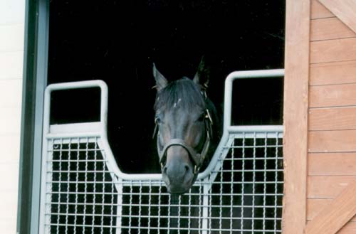 �A�C�l�X�t�E�W��