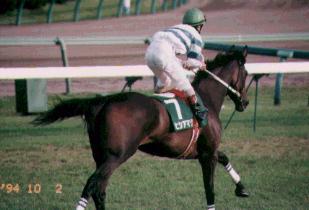 �q�V�A�}�]��