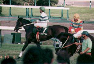 �q�V�A�}�]��