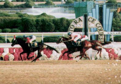 �~�z�m�u���{��