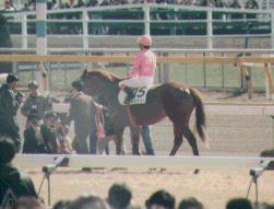 �~�z�m�u���{��