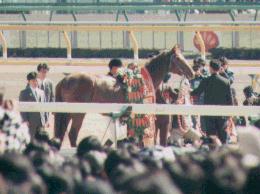 �~�z�m�u���{��