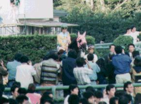 ���K�[�`�����s�I��