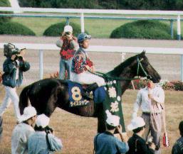 ���C�X�V�����[