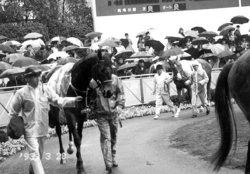 ���}�g�_�}�V�C