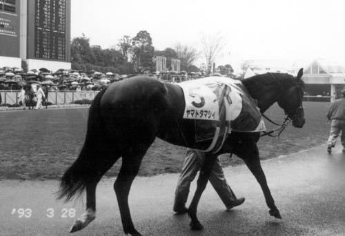 ���}�g�_�}�V�C