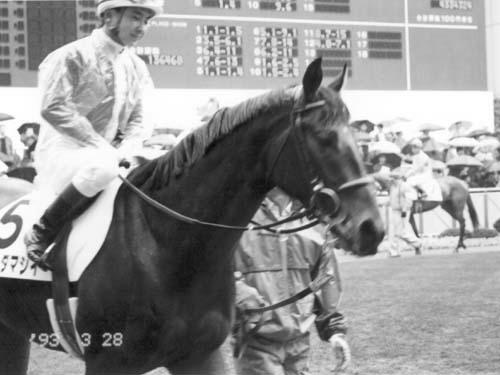 ���}�g�_�}�V�C